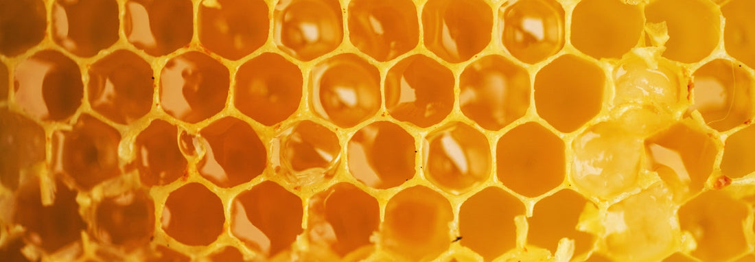 UMF and MGO Grades in New Zealand Raw Manuka Honey: A Guide for US Consumers