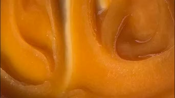 Whenua Mānuka Honey UMF™ 20+ | MGO 829+ • 250g • New Zealand